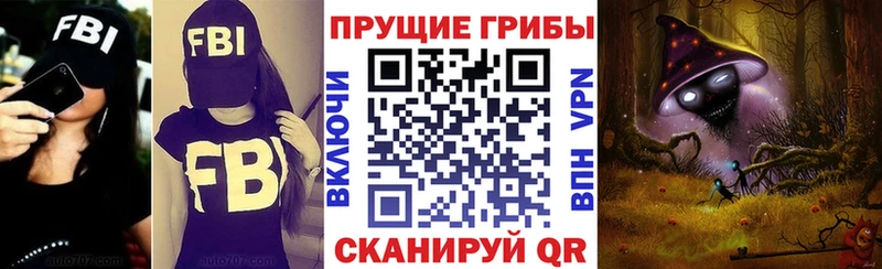 Купить закладки  Жуковка  Галлюциногенные грибы прущие грибы 
